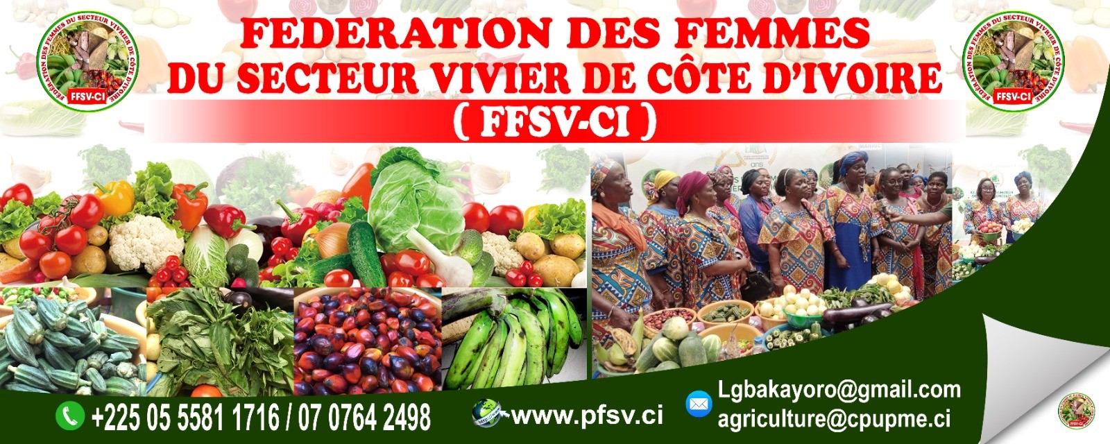 FédérationdesFemmesduSecteurVivrierdeCôted'Ivoire